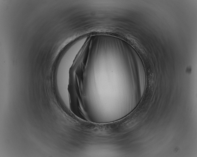 X0000090870727200708241919