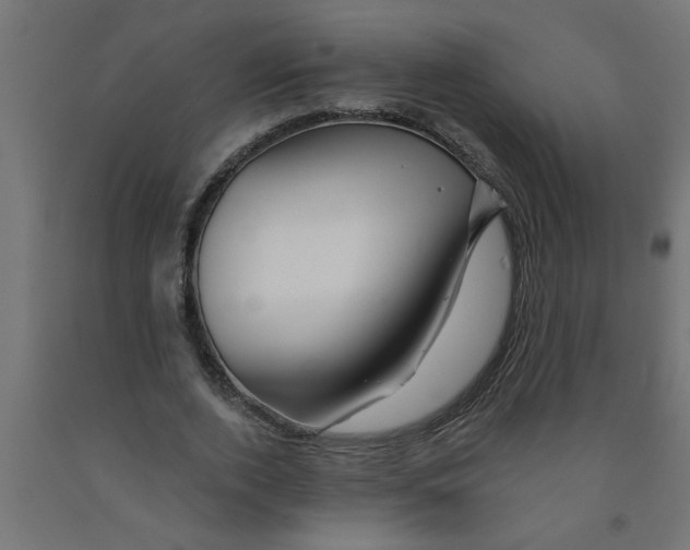 X0000090870728200708241919