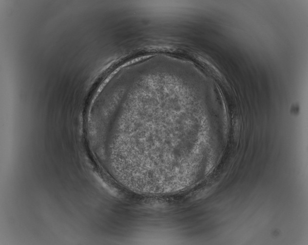 X0000090870729200708241919