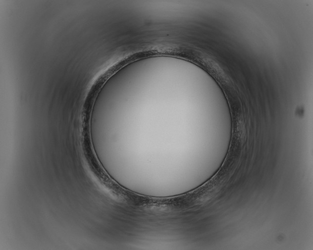 X0000090870730200708241919