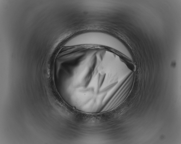 X0000090870731200708241919