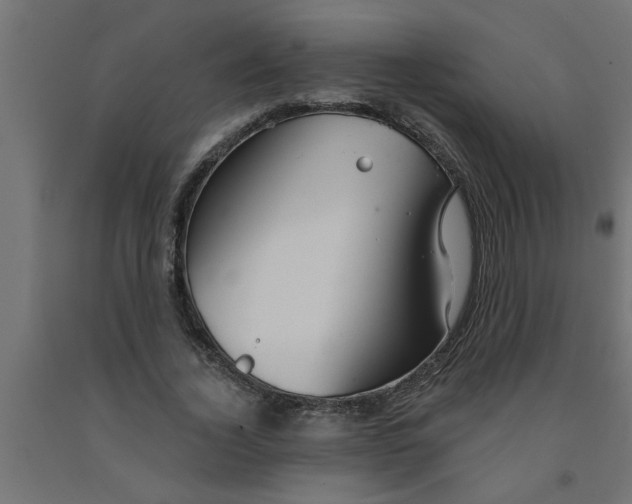 X0000090870732200708241919