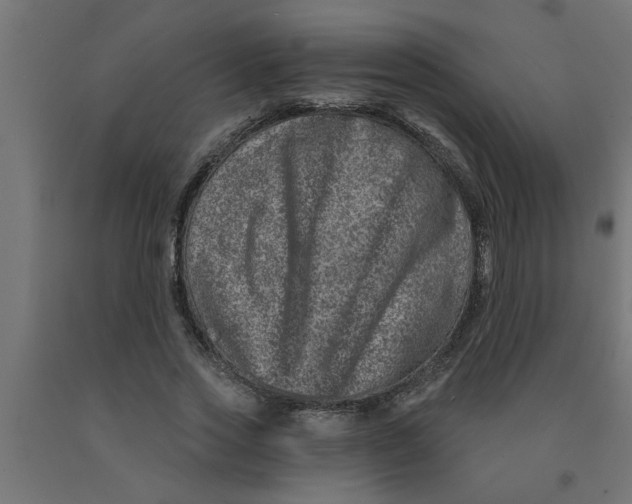 X0000090870733200708241919