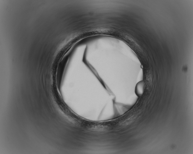 X0000090870734200708241919