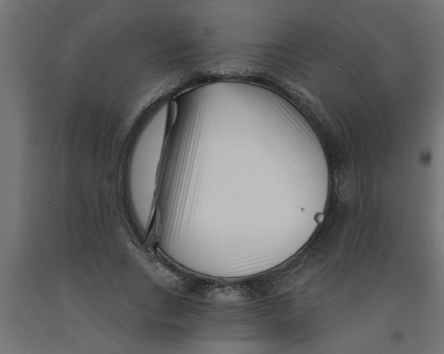 X0000090870735200708241919