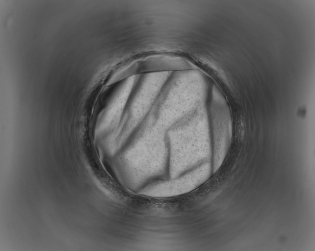 X0000090870736200708241919