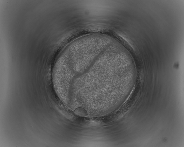 X0000090870737200708241919