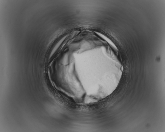 X0000090870738200708241919