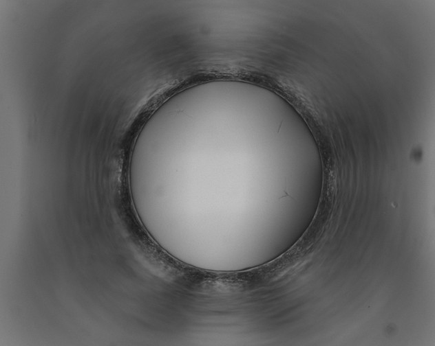 X0000090870739200708241919