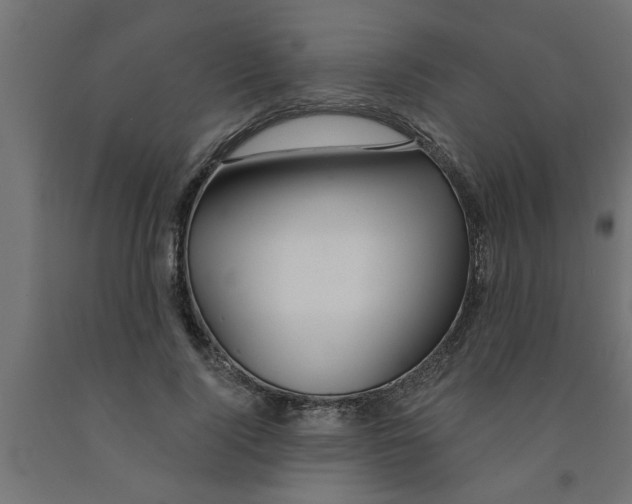 X0000090870740200708241919