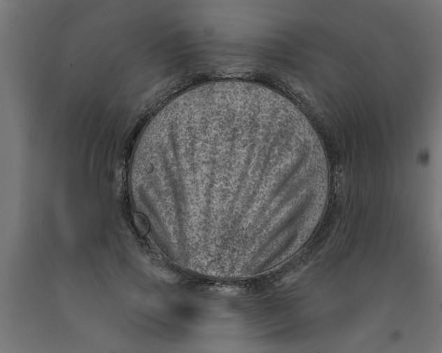 X0000090870741200708241919