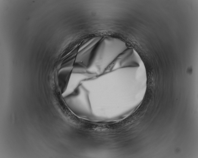 X0000090870742200708241919