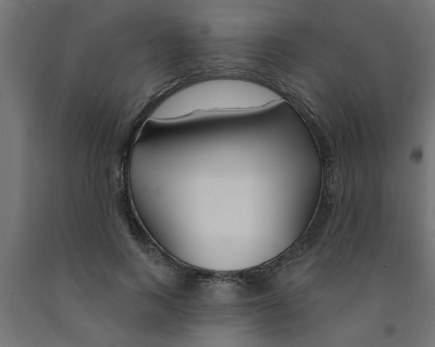 X0000090870743200708241919