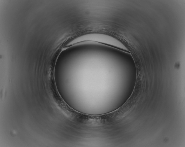 X0000090870744200708241919