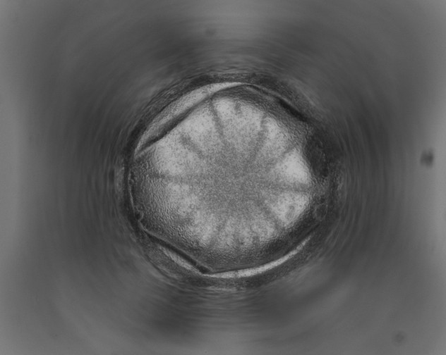 X0000090870745200708241919