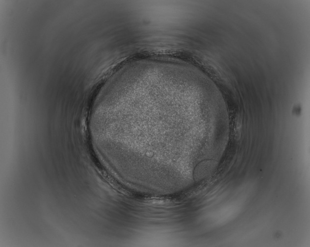 X0000090870746200708241919