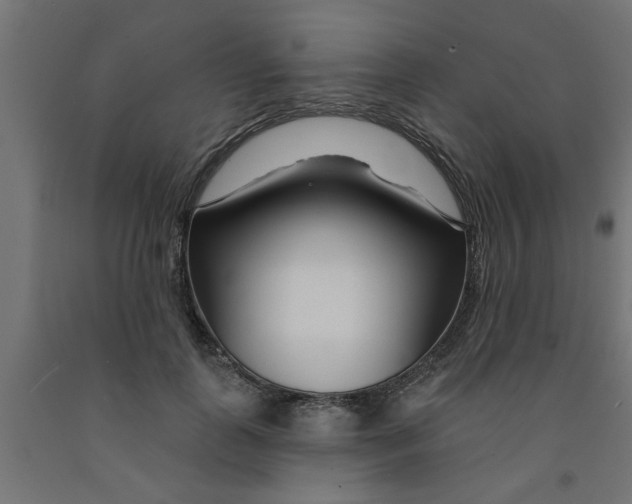 X0000090870747200708241919