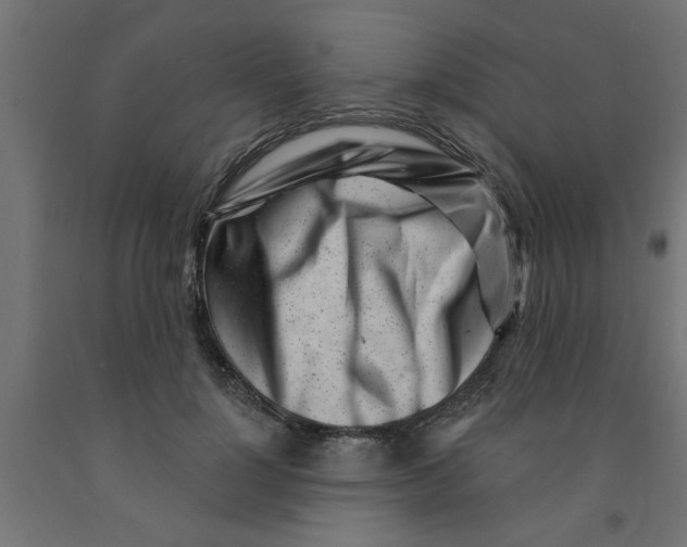 X0000090870748200708241919