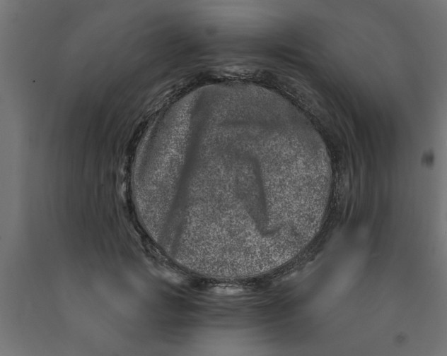 X0000090870749200708241919