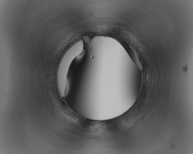 X0000090870750200708241919