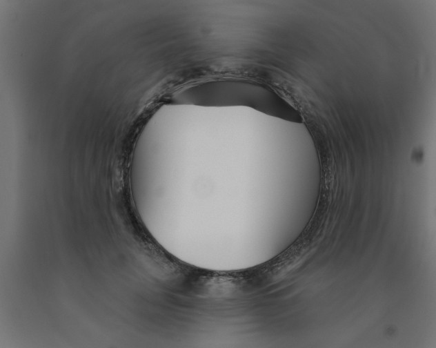 X0000090870751200708241919