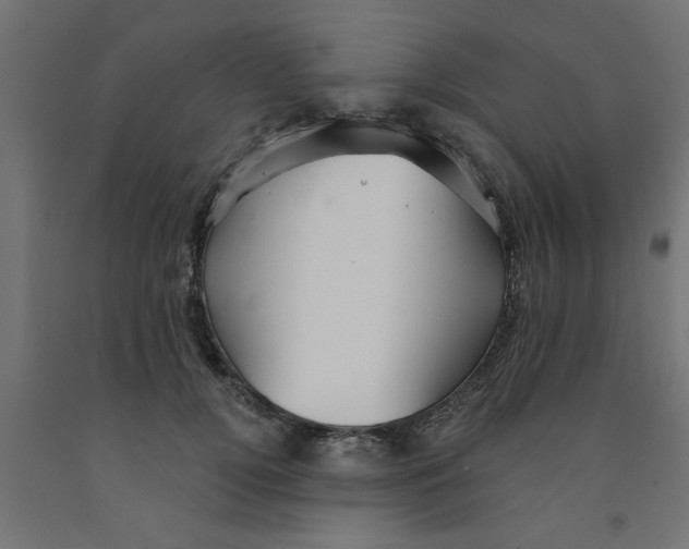 X0000090870752200708241919