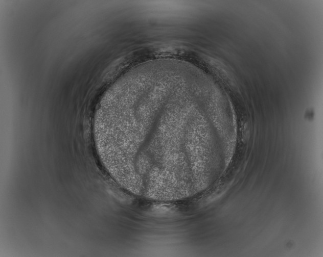 X0000090870753200708241919