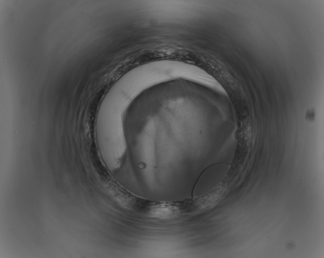 X0000090870754200708241919