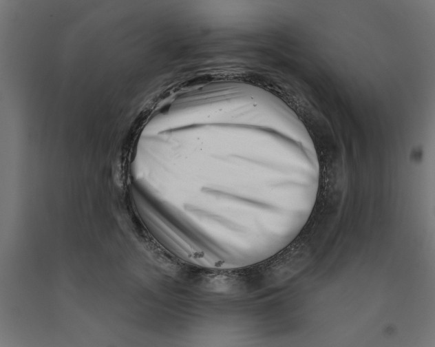 X0000090870755200708241919