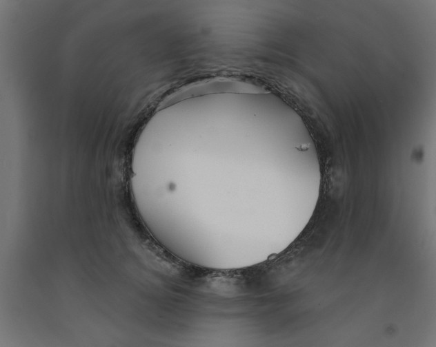 X0000090870756200708241919