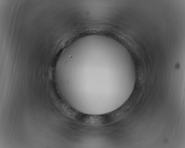 X0000090870758200708241920