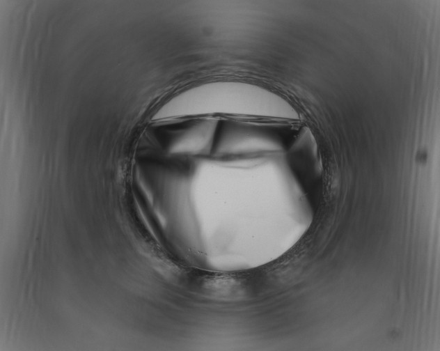 X0000090870759200708241920