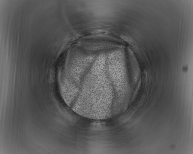 X0000090870760200708241920