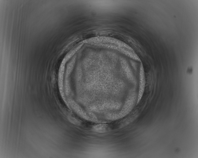 X0000090870761200708241920