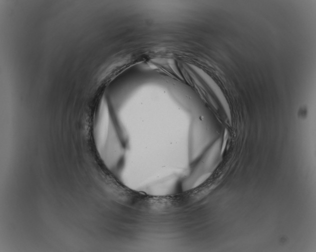 X0000090870762200708241920