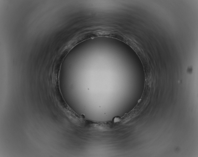 X0000090870763200708241920