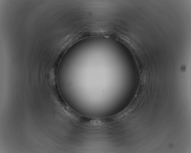 X0000090870764200708241920