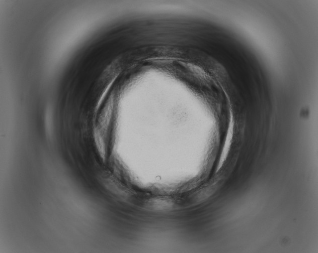 X0000090870765200708241920