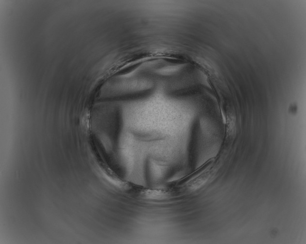 X0000090870766200708241920