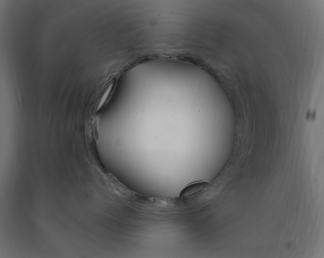 X0000090870768200708241920