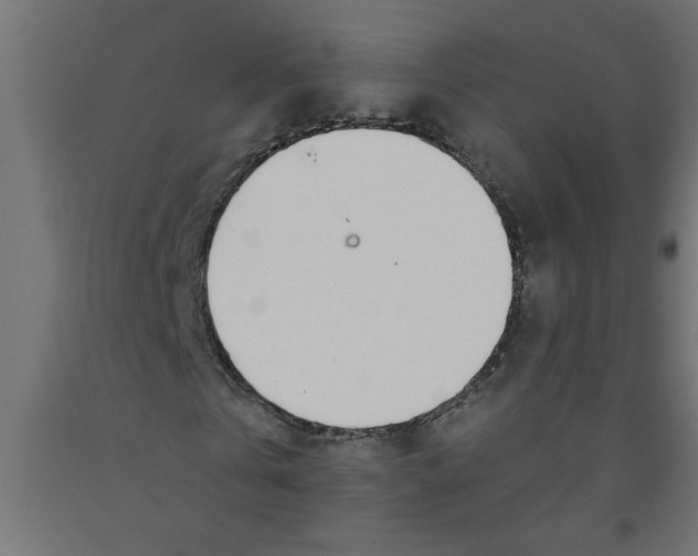 X0000090870769200708241919