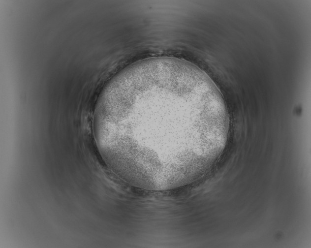 X0000090870770200708241919