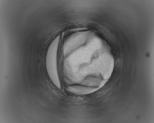 X0000090870772200708241919