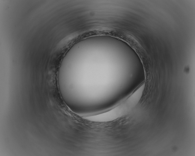 X0000090870773200708241919