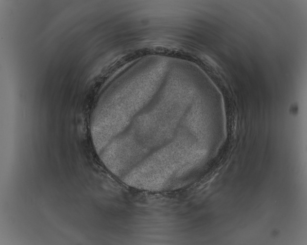 X0000090870774200708241919