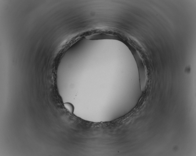 X0000090870776200708241919