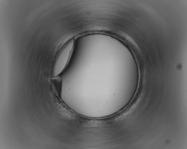 X0000090870777200708241919