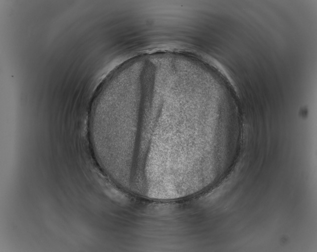 X0000090870778200708241919