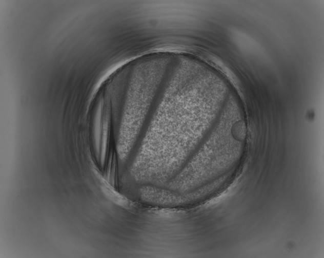 X0000090870779200708241919