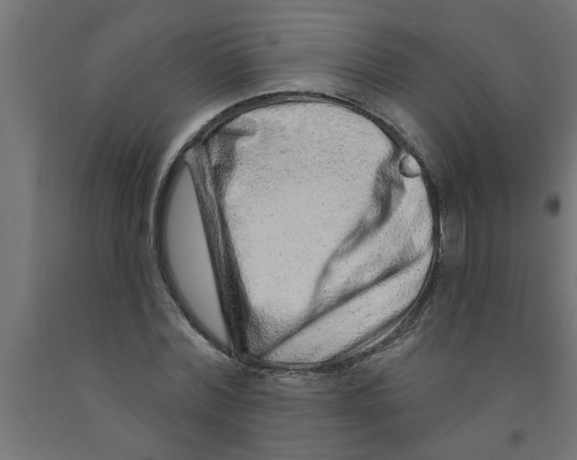 X0000090870780200708241919